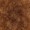 Afro Small Bow Wig - Medium Brown